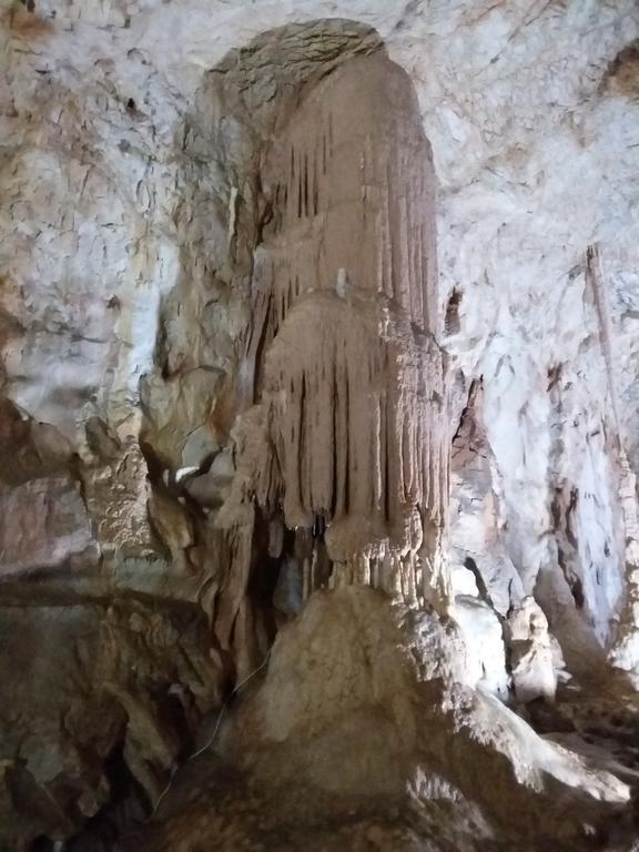 Pensiunea Piatra Graitoare Vartop Exterior foto