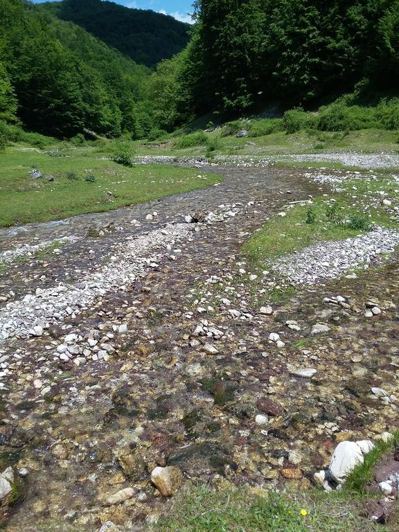 Pensiunea Piatra Graitoare Vartop Exterior foto